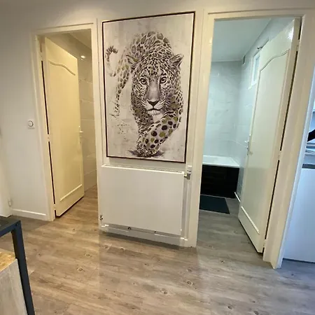 Apartment Golden Mont Centre Pau